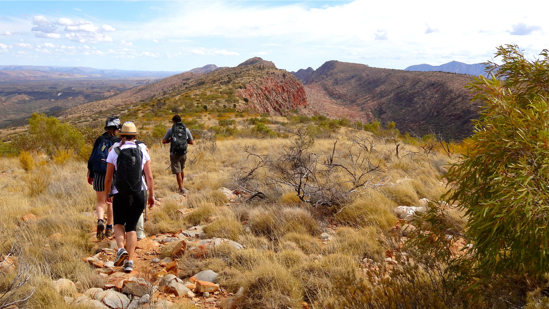 Australian Walking Holidays Blog | Larapinta Trail Experience